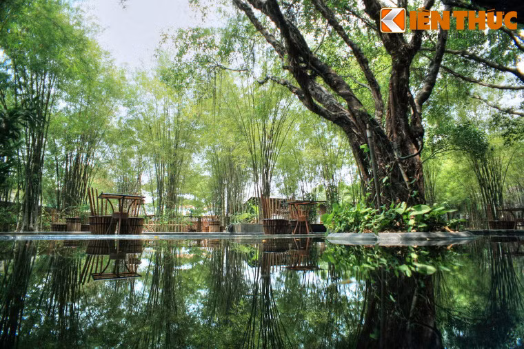 Những mảng màu xanh của cây cối bao trùm lên hồ nước, đem lại cảm giác thư thái cho du khách ghé thăm nơi đây.