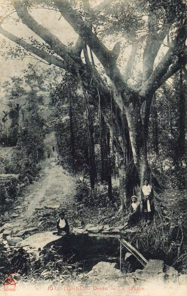 Bên một dòng suối.