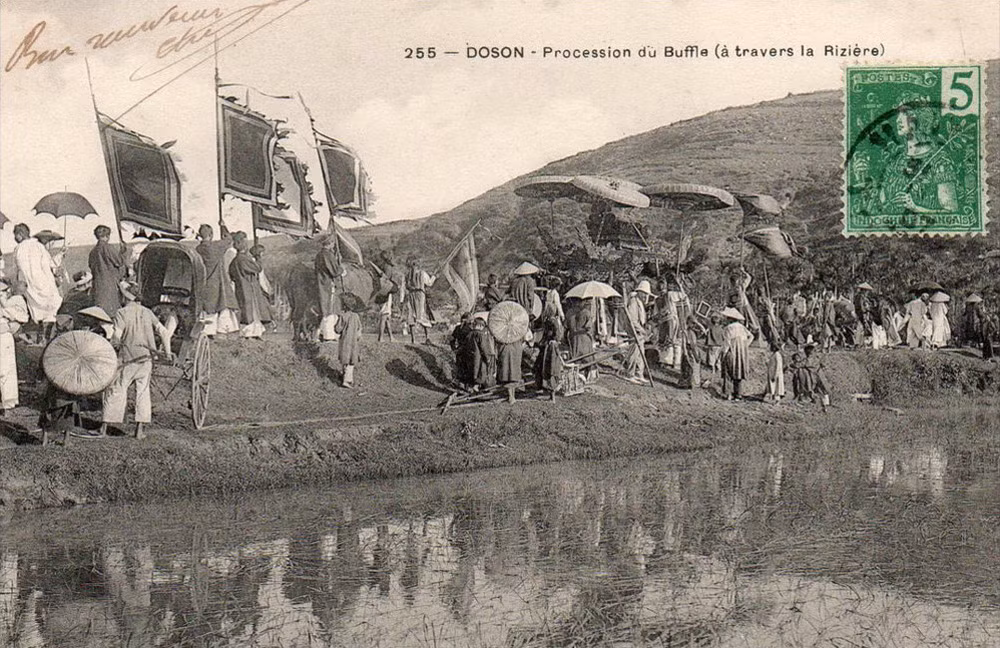 Đám rước trâu đi ngang bờ ruộng.