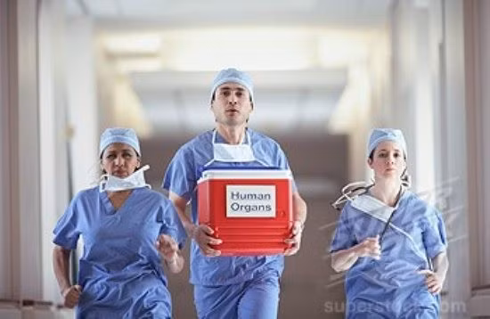 Ngoài nhiệm vụ chở hành khách, máy bay còn vận chuyển thi thể những người quá cố hoặc nội tạng con người. Đây được coi là loại hàng hóa đặc biệt và phải trải qua quá trình kiểm tra nghiêm ngặt tại các sân bay.