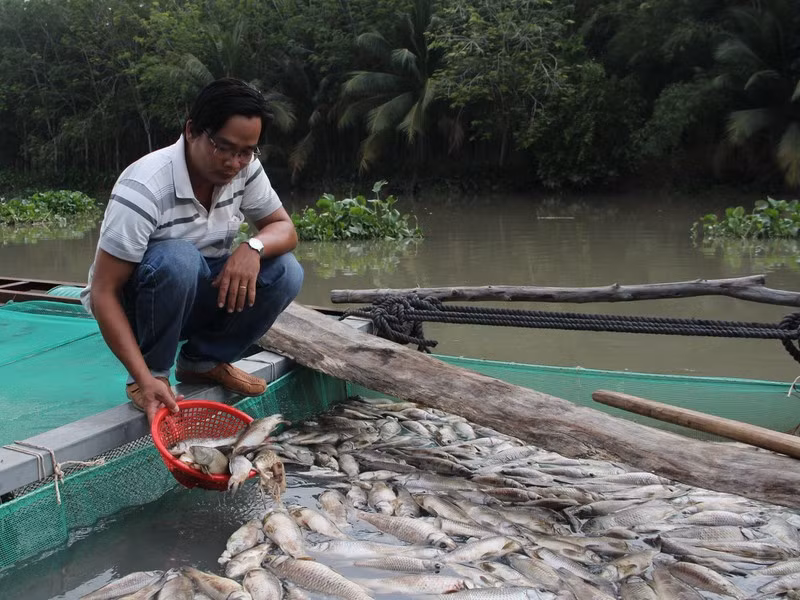  Hơn 80 tấn cá ở Bình Dương chết trắng sau cơn mưa : Theo VOV, sau cơn mưa lớn ngày 2/4/2021, nhiều lồng cá bè trên sông Sài Gòn đoạn qua thị trấn Dầu Tiếng phát hiện cá chết. Ngày 5/4, cá nuôi chết nhiều hơn, các loại thủy sản ngoài tự nhiên cũng bị chết, nổi trắng mặt sông. Thống kê ban đầu, thiệt hại khoảng 80 tấn cá nuôi, trị giá hơn 4,3 tỷ đồng. Các loại thủy sản ngoài tự nhiên, ngành chức năng chưa thống kê được.