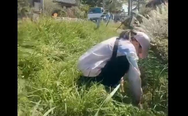 Không chỉ được thưởng thức hương vị quê nhà ngay trên đất Nhật, việc này còn giúp các bạn trẻ Việt ở Nhật tiết kiệm được một khoản tiền.