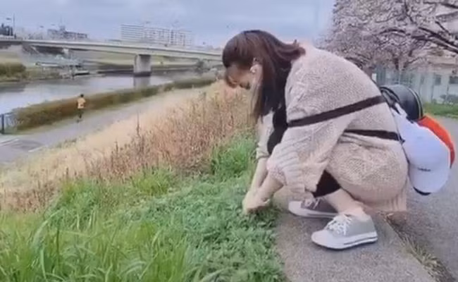 Theo trải nghiệm của một số người đã ăn thử thì rau ngải mọc dại ở Nhật không thơm ngon như ở Việt Nam.