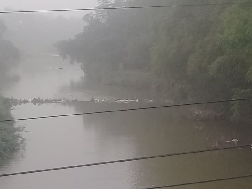 Nhieu nguoi vo y thuc xa rac bua bai, bo song ngap ngua tui nylon-Hinh-8