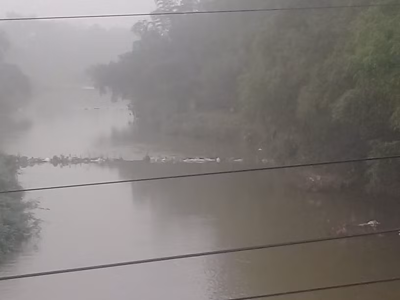 Nhieu nguoi vo y thuc xa rac bua bai, bo song ngap ngua tui nylon-Hinh-8