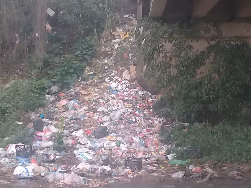 Nhieu nguoi vo y thuc xa rac bua bai, bo song ngap ngua tui nylon-Hinh-2