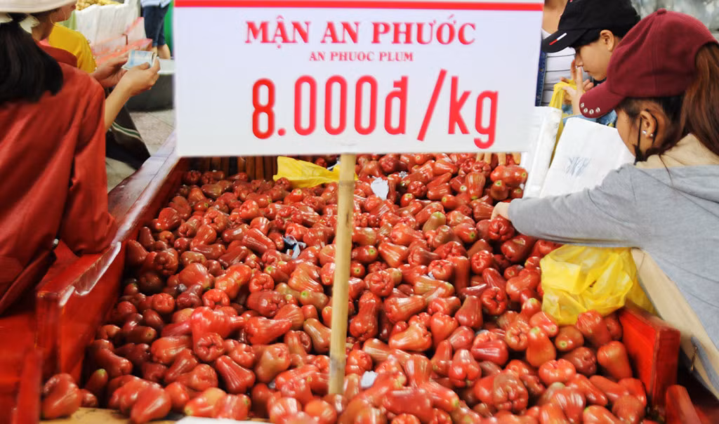 Mận đặc sản An Phước chỉ có giá 8.000 đồng/kg, chưa bằng một nửa giá bán trên thị trường.