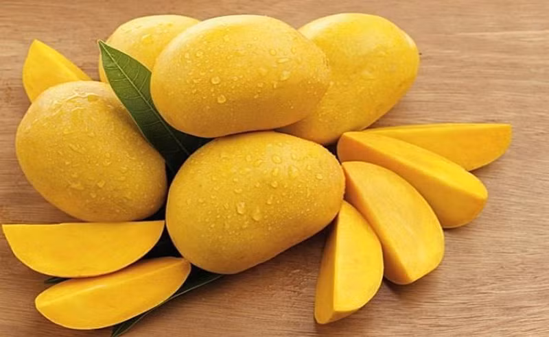 Quả xoài Xoài là vua của các loại trái cây. Xoài có chứa vitamin B và C, canxi, kali, kẽm, folate và protein cần thiết cho cơ thể.