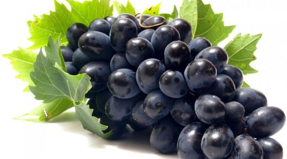 Quả nho Nho là một trong những trái cây được sử dụng để chống lại mệt mỏi và tăng năng lượng. Nhiều người không bổ sung đủ nước trong ngày thì nên ăn nho. Nho, táo sẽ bổ sung nước và phục hồi cơ thể, đem lại cho bạn nhiều năng lượng hơn để làm mọi việc tốt hơn.