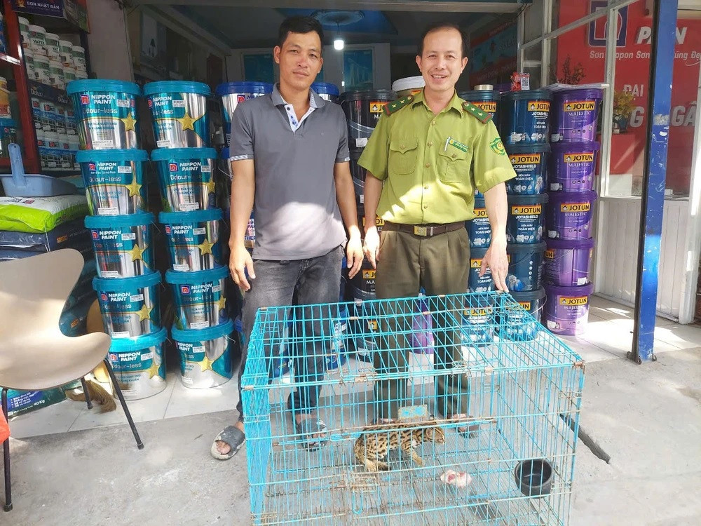 Suy đoán số gà này có thể bị con vật nào ăn mất nên anh Quân đã đặt lồng bẫy. Theo đó, anh bắt được một con mèo rừng nặng khoảng 1,2 kg. Ảnh: PLO.