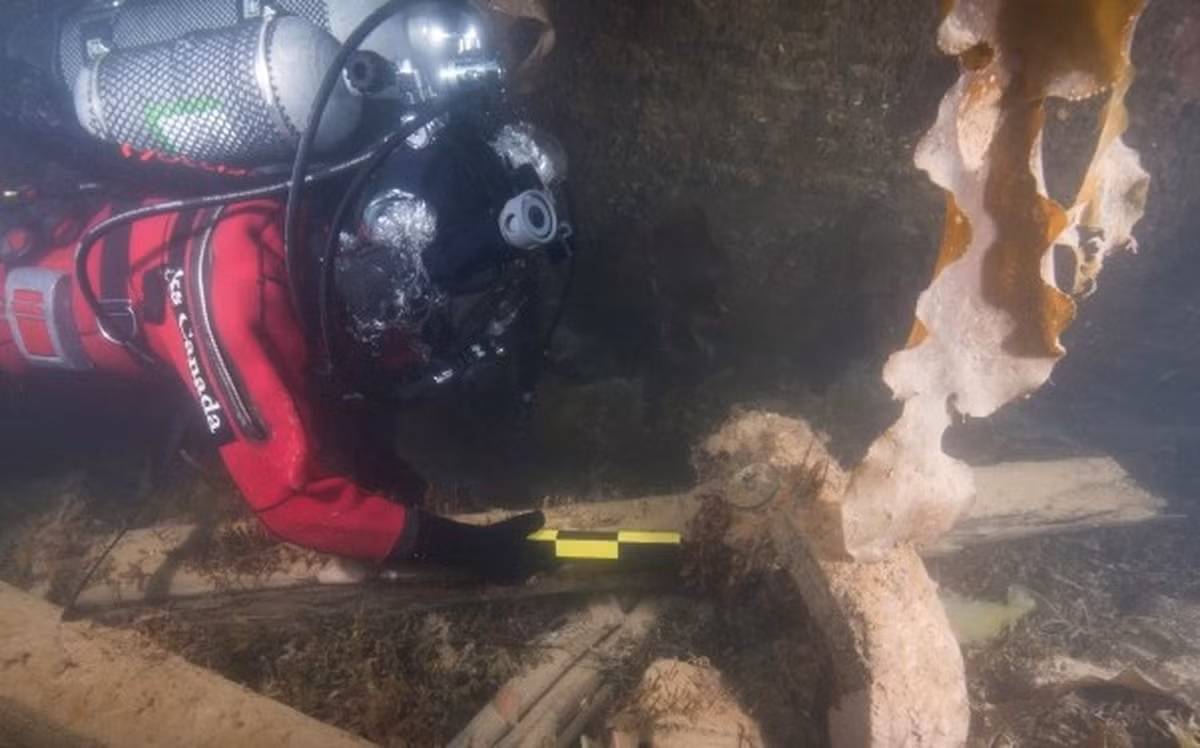 Bảo tàng Hoàng gia Greenwich nhận định chuyến thám hiểm Bắc Cực này là "thảm họa tồi tệ nhất trong lịch sử thám hiểm vùng cực của Anh".