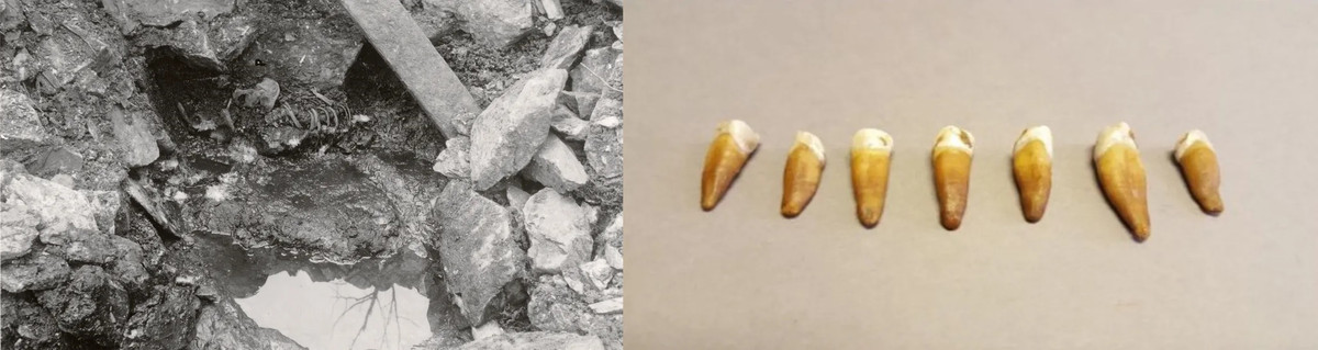 Nghiên cứu của các chuyên gia hiện chưa thể khẳng định bộ hài cốt được tìm thấy dưới giếng có thực sự là nhân vật được nhắc đến trong sử thi Sverris hay không.