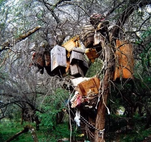 Người dân ở nhiều nơi trên thế giới thực hiện những tập tục mai táng truyền thống được lưu truyền qua nhiều thế hệ. Trong số này, một vài nơi tại Tây Tạng, Tana Toraja (Indonesia)... thực hiện tập tục mộc táng. Ảnh: Strange.