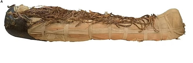 Ông Morares tiến hành phục dựng với ảnh CT hộp sọ của pharaoh Amenhotep I được chụp vào năm 2021. Nghiên cứu của nhà cổ X quang học Sahar N. Saleem tại Đại học Cairo và nhà Ai Cập học Zahi Hawass giúp "tháo băng quấn" xác ướp nhà vua trên phương diện kỹ thuật số, hé lộ nhiều chi tiết về diện mạo, cấu trúc xương và một số cơ quan nội tạng được bảo quản của Amenhotep I, bao gồm tim và não.