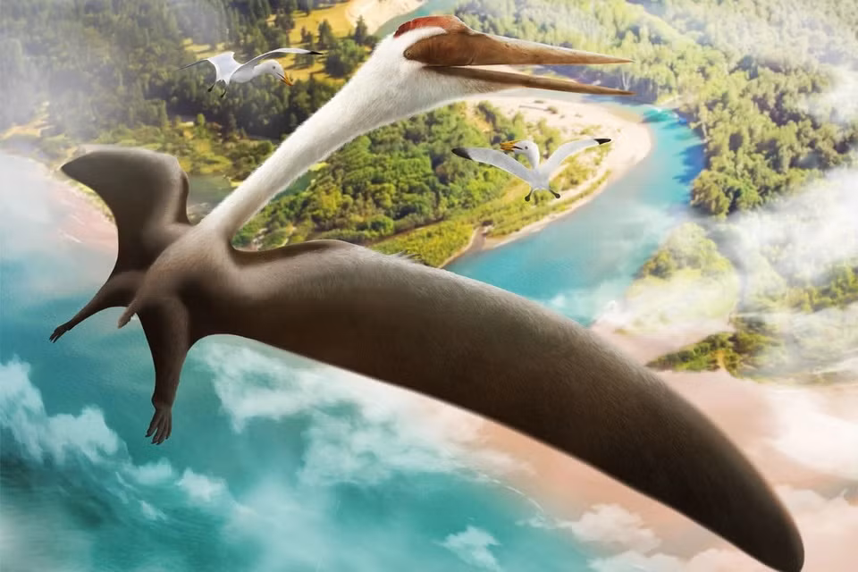 Thằn lằn bay Quetzalcoatlus là một trong những quái vật săn mồi đáng sợ thời tiền sử. Chúng sống vào cuối kỷ Creta ở Bắc Mỹ cách đây khoảng 68 - 65,5 triệu năm.