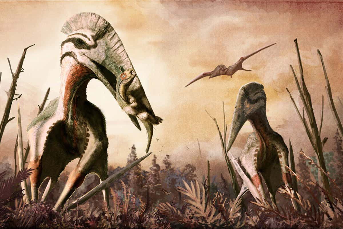 Mỗi con Quetzalcoatlus có trọng lượng từ 50 - 500 kg. Chúng thành thạo việc đi săn cả ở trên không và trên cạn.
