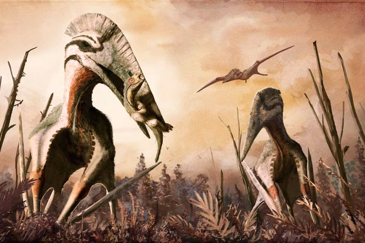 Mỗi con Quetzalcoatlus có trọng lượng từ 50 - 500 kg. Chúng thành thạo việc đi săn cả ở trên không và trên cạn.