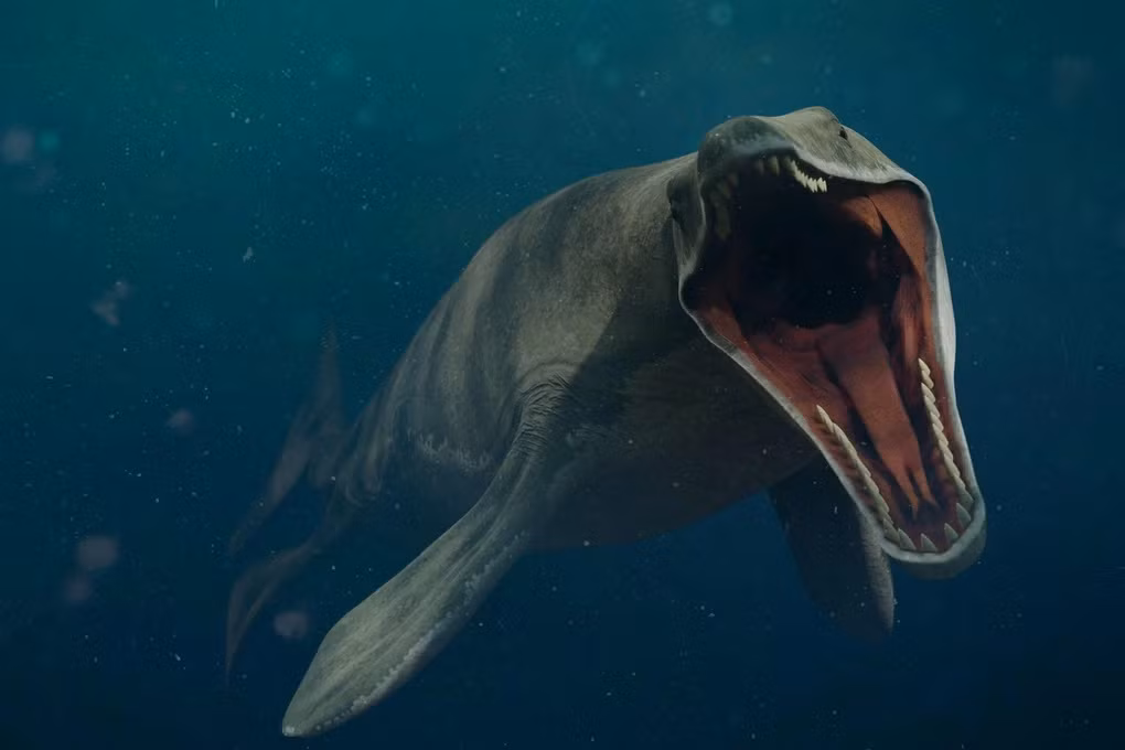 Đáng sợ không kém Quetzalcoatlus là thủy quái Mosasaurus. Được mệnh danh là "thằn lằn sông Meuse", Mosasaurus là một loài thằn lằn biển, đã tuyệt chủng 82 - 66 triệu năm trước trong kỷ Phấn trắng.