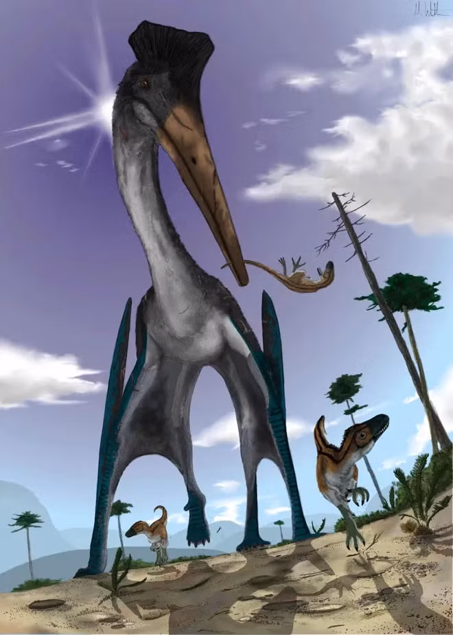 Với việc có thể bay cao tới 4.500 mét và đạt tốc độ lên tới 170 km/giờ, quái vật Quetzalcoatlus có thể lao tới tấn công ăn thịt bất cứ con mồi nào, thậm chí là khủng long bạo chúa cỡ nhỏ.