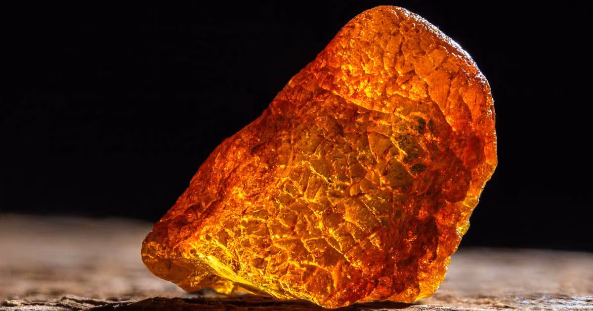 Các nhà nghiên cứu thuộc Viện Khảo cổ học Ba Lan tại Athens về tầm quan trọng của hổ phách đối với người Mycenaean - nền văn minh Mycenaean phát triển rực rỡ vào cuối thời đại đồ đồng (từ năm 1750 trước Công nguyên đến năm 1050 trước Công nguyên) tại khu vực Peloponnese của Hy Lạp.