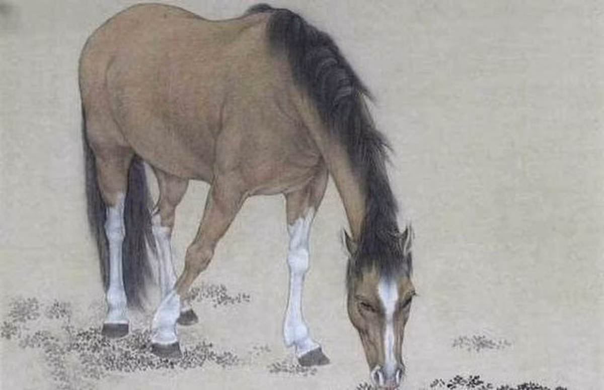 Vận thế ngày 8/10/2024 của người tuổi Ngọ rắc rối. Tình cảm: Người tuổi Ngọ có cuộc sống an yên bên gia đình và bạn bè. Công việc: Con giáp này chủ động đối mặt với vấn đề, tìm cách giải quyết. Tiền bạc: Người tuổi Ngọ có thể gặp chút rắc rối tài chính.