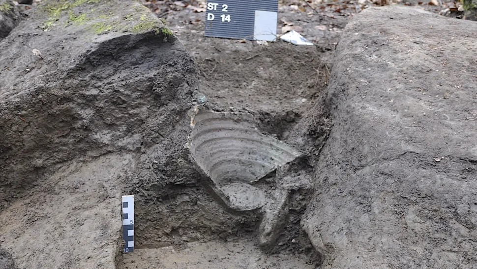 Do tình trạng của những đồng tiền cổ khá kém nên đến nay các chuyên gia mới chỉ xác định 100 đồng tiền. Hầu hết chúng khắc họa chân dung của một hoàng đế La Mã hoặc Gallia ở một mặt và các hình ảnh khác ở mặt sau như thần Hercules và Mars.