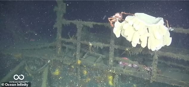 Sau gần 80 năm "vùi mình" dưới đáy biển, xác "tàu ma Thái Bình Dương" vẫn còn khá nguyên vẹn. Đây là một trong những tàu khu trục có niên đại vào thế kỷ 20 được bảo quản tốt nhất. Việc nghiên cứu, khám phá xác tàu đắm này sẽ cung cấp cái nhìn sâu sắc về công nghệ hải quân khi đó. Ảnh: Ocean Infinity.