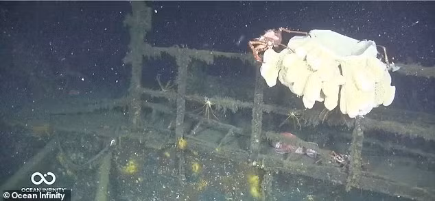 Sau gần 80 năm "vùi mình" dưới đáy biển, xác "tàu ma Thái Bình Dương" vẫn còn khá nguyên vẹn. Đây là một trong những tàu khu trục có niên đại vào thế kỷ 20 được bảo quản tốt nhất. Việc nghiên cứu, khám phá xác tàu đắm này sẽ cung cấp cái nhìn sâu sắc về công nghệ hải quân khi đó. Ảnh: Ocean Infinity.