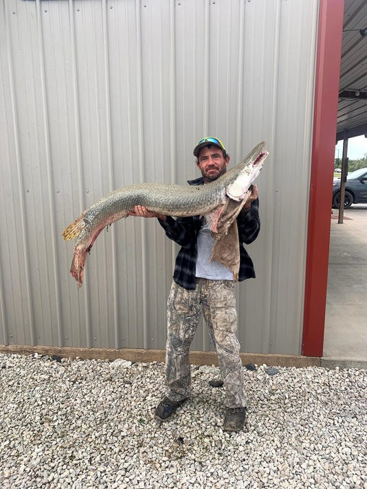 Thức ăn khoái khẩu của cá láng lớn Bắc Mỹ gồm: các loài cá nhỏ, cua, rùa, chim và những lời động vật có vú nhỏ, thậm chí xác thối. Ảnh: Cơ quan Công viên và Động vật hoang dã Kansas.