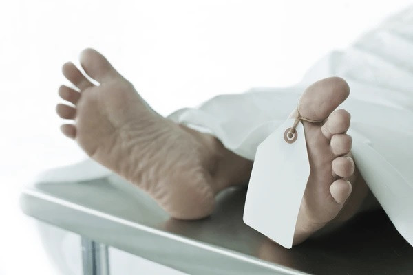 Các nhân viên y tế đến từ đội cứu hộ Southfield đã dành 30 phút để cố gắng cấp cứu hồi sinh cô gái trên. Sau đó, họ đưa cô đến phòng cấp cứu tại một bệnh viện địa phương. Tại đây, bác sĩ đã kiểm tra và tuyên bố cô đã tử vong.