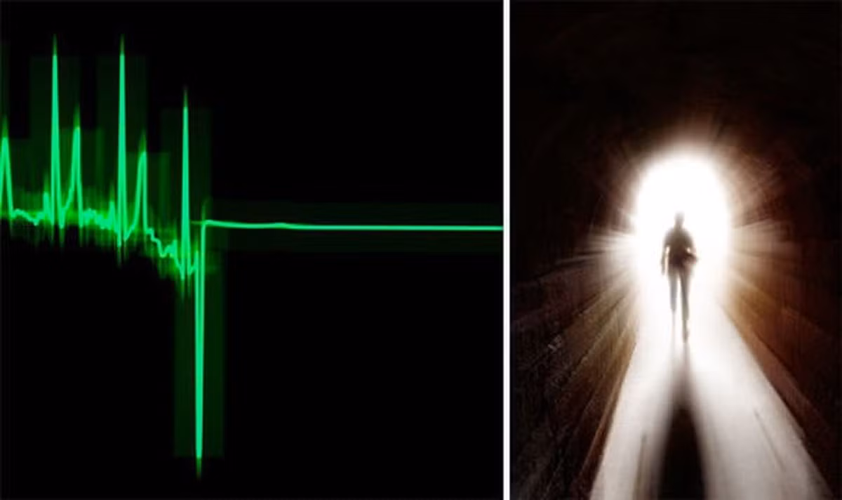 Trong những thập kỷ qua, một số trường hợp được ghi nhận chết đi sống lại với nhiều tình tiết gây bất ngờ. Gần đây nhất là trường hợp của bà Constance Glantz (74 tuổi) sống trong viện dưỡng lão The Mulberry tại thị trấn nhỏ Waverly thuộc tiểu bang Nebraska, Mỹ.