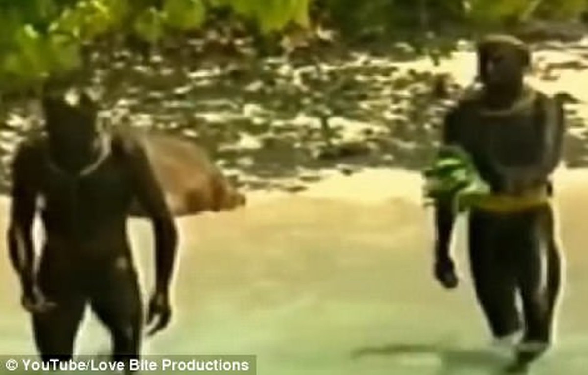 Không những vậy, ngay cả những người đi gần đảo Bắc Sentinel cũng có khả năng bị người Sentinelese "tiếp đón" bằng cung tên, mũi lao....