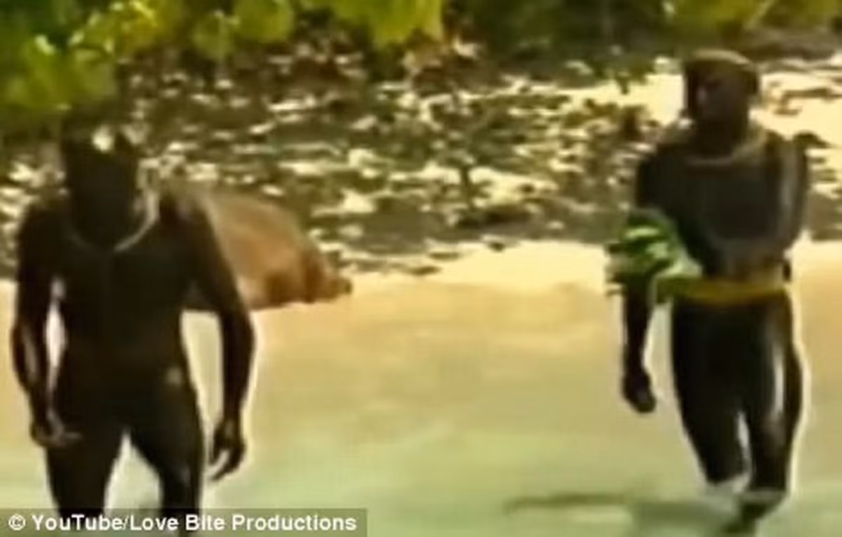 Không những vậy, ngay cả những người đi gần đảo Bắc Sentinel cũng có khả năng bị người Sentinelese "tiếp đón" bằng cung tên, mũi lao....