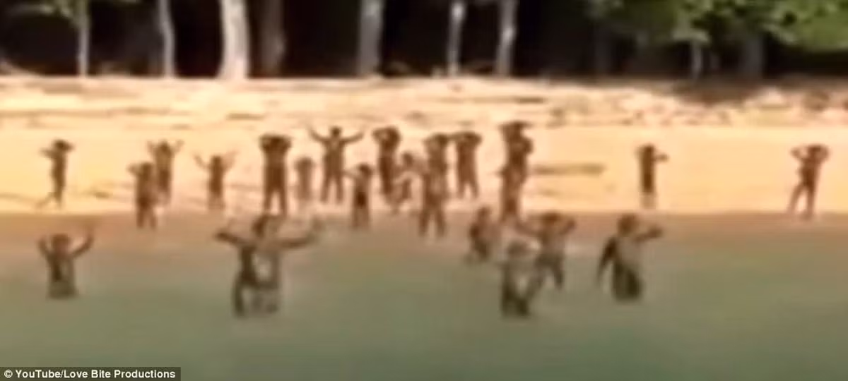 Minh chứng là vào năm 2006, thành viên bộ lạc Sentinelese đã sát hại 2 người đàn ông câu cá bất hợp pháp tại vùng biển quanh đảo Bắc Sentinel.