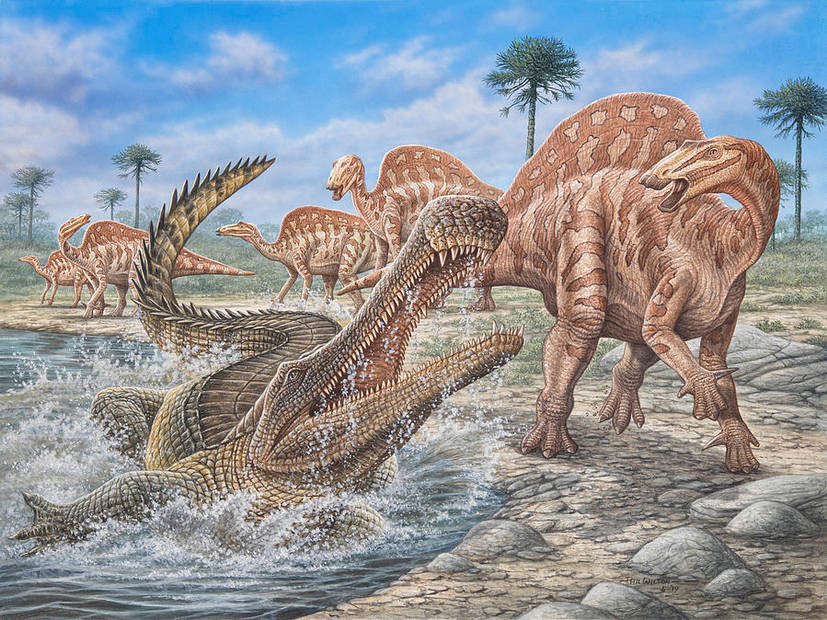 Sarcosuchus là loài cá sấu cổ đại từng sống cách đây khoảng 110 triệu năm ở vùng đất nay là châu Phi và Nam Mỹ. Theo các chuyên gia, chúng có bộ hàm cực sắn bén, to lớn, rắn chắc. Ảnh: deviantart.