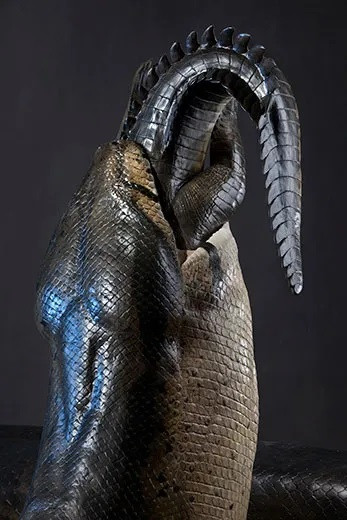 Điều này khiến giới chuyên gia suy đoán trăn Titanoboa là loài chuyên ăn lá. Thế nhưng, xét theo kích thước và trọng lượng cơ thể, trăn Titanoboa có thể dễ dàng săn và ăn thịt rùa, cá sấu... trong cùng môi trường sống. Ảnh: Robert Clark/Institute.