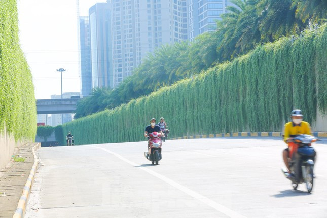 Giữa ngày nắng nóng, khi di chuyển qua con đường xanh này, người tham gia giao thông sẽ cảm thấy dễ chịu hơn rất nhiều. (Ảnh: Tiền Phong).