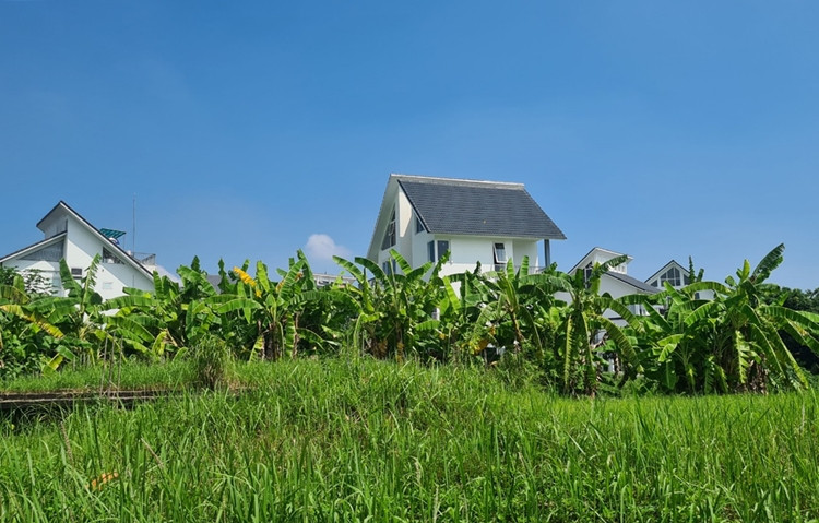 Quang cảnh hoang lạnh sau 14 năm tại dự New House City Quốc Oai 2.000 tỷ của Tập đoàn Lã Vọng.