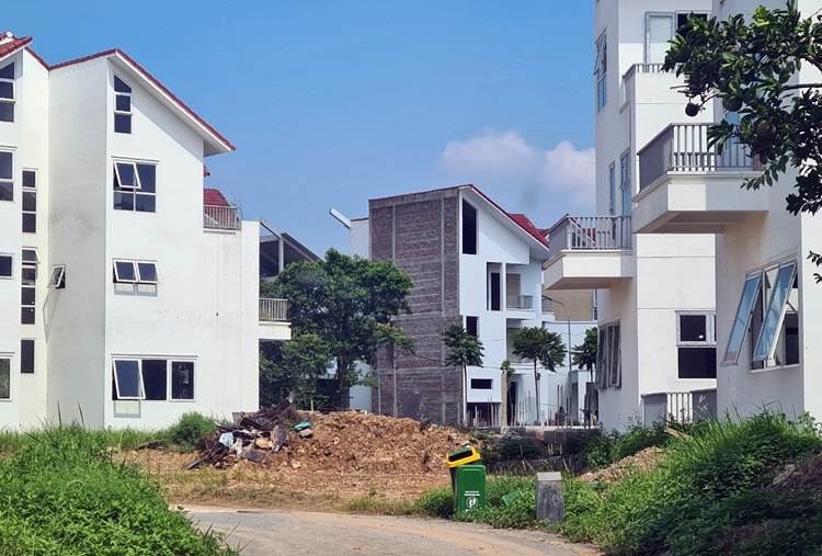 Thời điểm năm 2008, giá bán đất nền giao động khoảng 10 triệu đồng/m2, có những căn biệt thự tại dự án này giá lên đến vài tỷ hoặc trên 10 tỷ đồng.