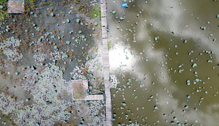 Thậm chí có nhiều chủ quán còn tự bắc cầu, “xẻ đôi” hồ Đầm Trị để phục vụ mục đích kinh doanh.