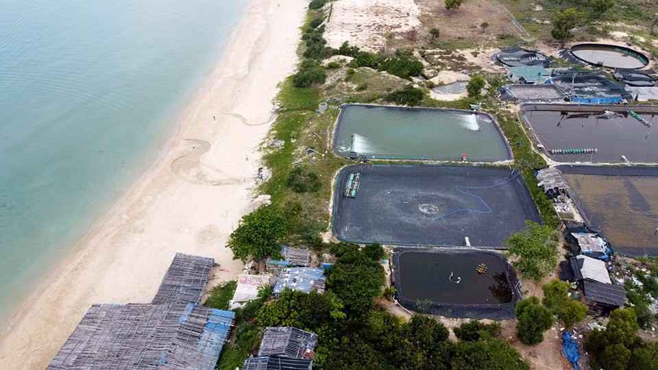 Trung bình 7-10 ngày, các hộ nuôi tôm lại xả thải ra biển Bãi Dài một lần. (Ảnh: Trung Vũ).