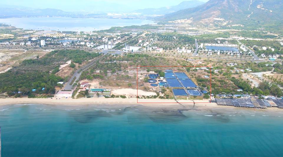 Khanh Hoa: Anh kinh hai trai nuoi tom xa nuoc thai ra bien den ngom