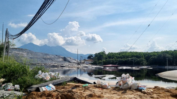 Ha Noi: Hon 2 tan ca chet sau khi Urenco 6 xa nuoc ri rac ra moi truong-Hinh-2