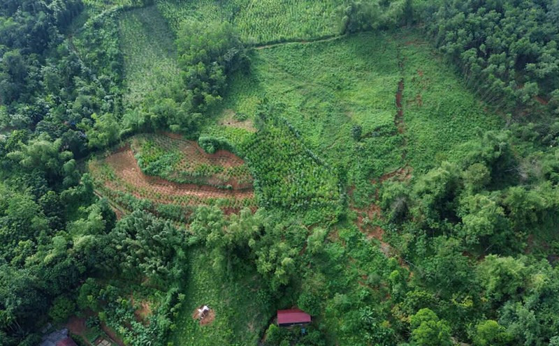 Ngày 25/5/2010, ông Hoàng Đình H. (xã Minh Tân, huyện Thủy Nguyên, Hải Phòng) vội vàng trở về nhà khi nghe tin con gái là chị Hoàng Thị P (SN 1989) đi làm xa về thăm nhà. Về tới nơi, không thấy con gái đâu, ông H. chạy lên đồi tìm. (Ảnh minh họa, nguồn internet)