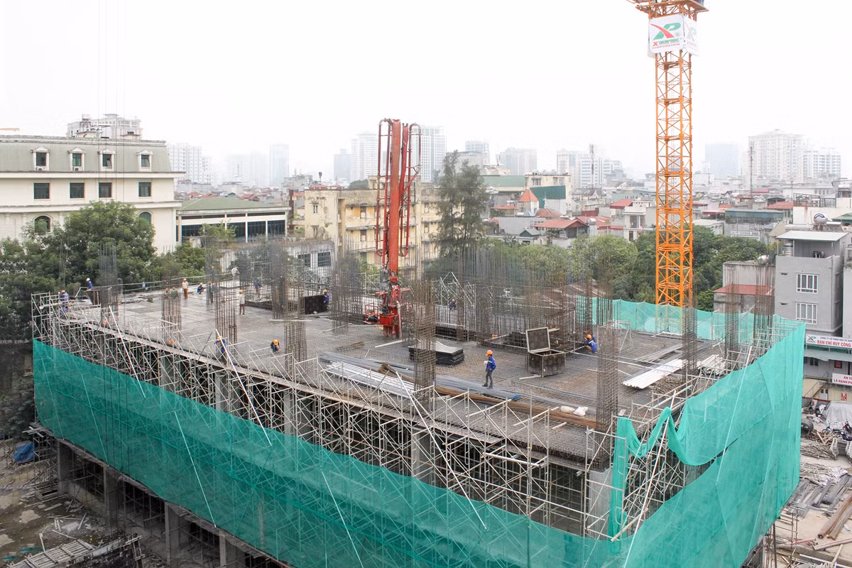 The Terra - Hao Nam chuan bi don nhung cu dan dau tien-Hinh-2