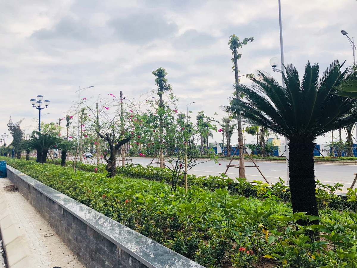 Ron rang ngay Le ban giao can ho Muong Thanh Thanh Ha-Hinh-7