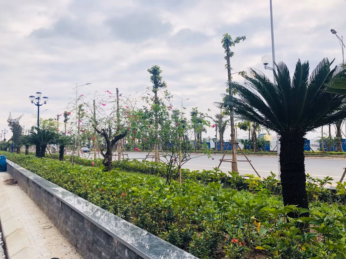 Ron rang ngay Le ban giao can ho Muong Thanh Thanh Ha-Hinh-7