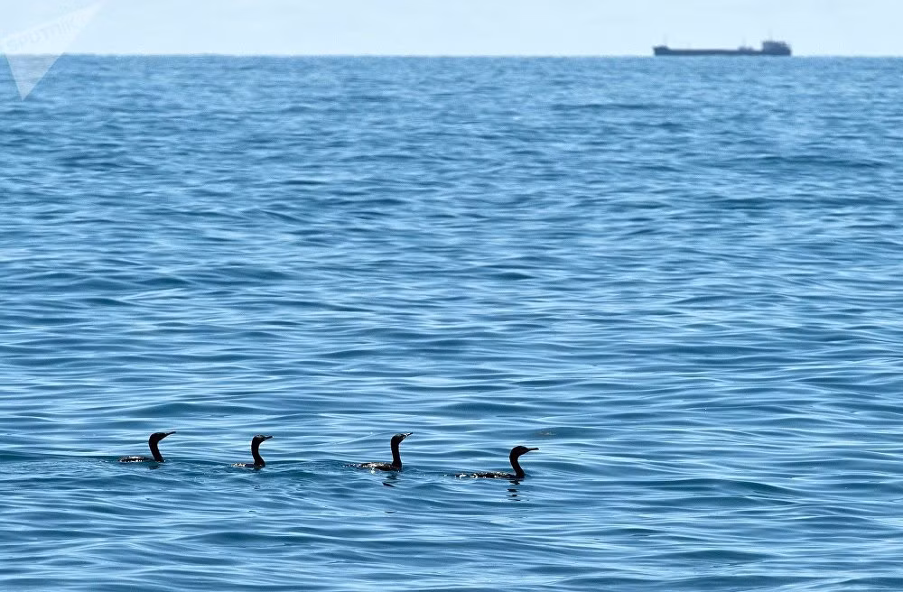Cảnh sắc yên ả ở khu bảo tồn thiên nhiên.