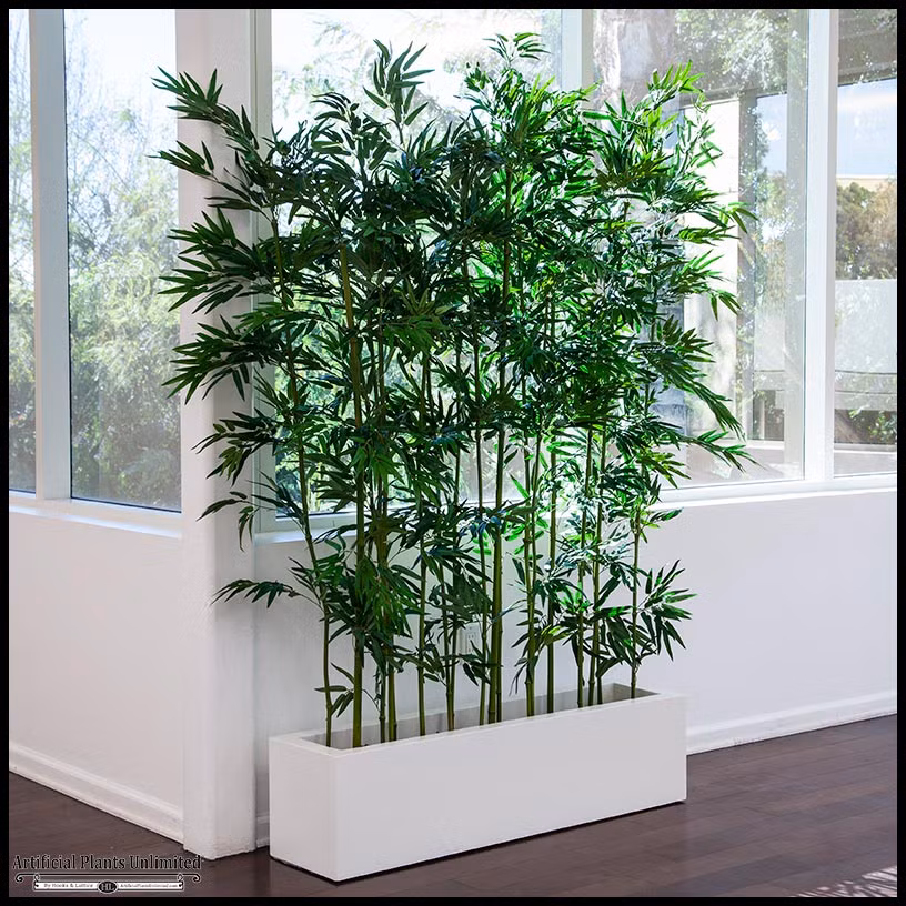 Đặt tre ở hướng Đông Nam sẽ giúp mang tiền về cho gia chủ.