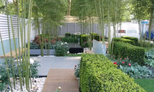 Meo trong tre chuan phong thuy de phat nhu dai gia-Hinh-2